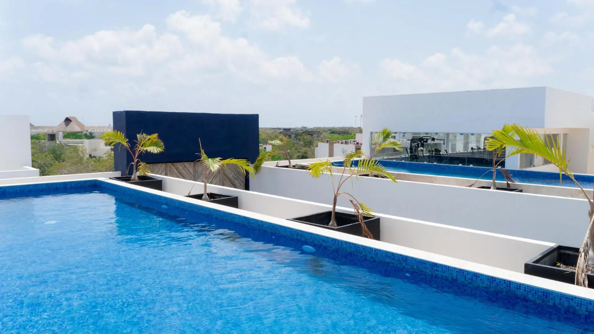 2 Bd Suite With Private Plunge Pool, Balcony, Gym Tulum